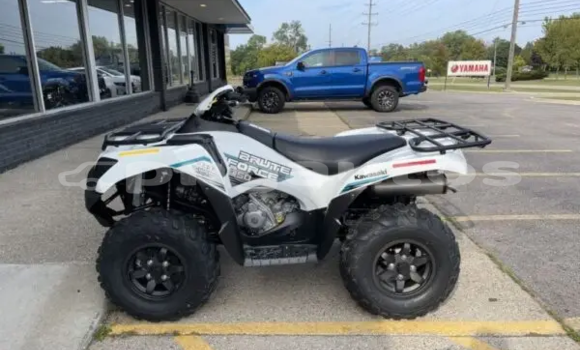Buy New Kawasaki Brute Force White Bike in Ambok in Madang Buy New Kawasaki Brute Force White Bike in Ambok in Madang