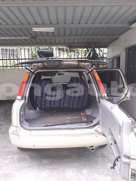 Big with watermark 49938301 2022517214529532 747793212558540800 n