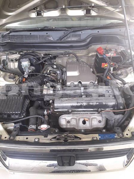 Big with watermark 49730759 2022517164529537 1550729183812911104 n