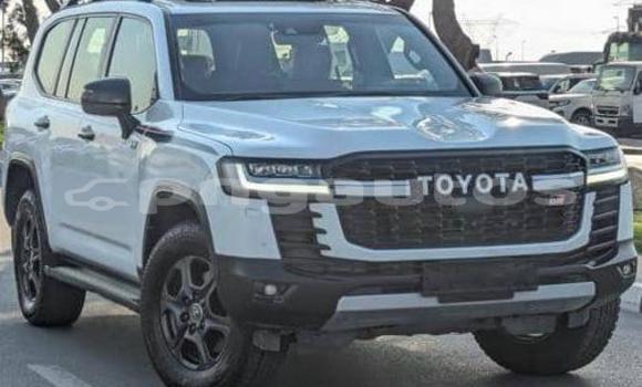 Buy Used Toyota Land Cruiser White Car in Port Moresby in National Capital District
