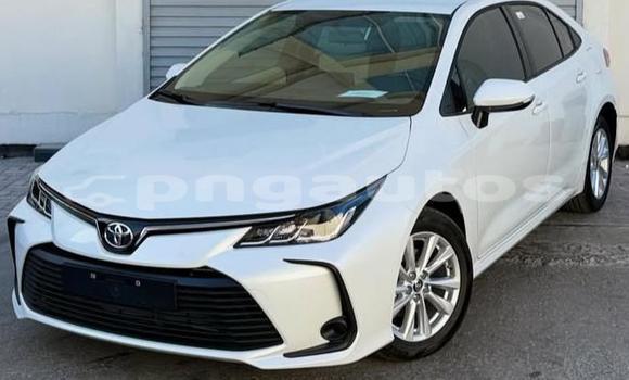 Buy Used Toyota Corolla White Car in Port Moresby in National Capital District