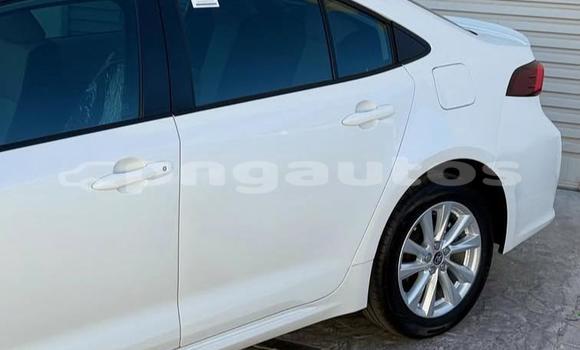 Buy Used Toyota Corolla White Car in Port Moresby in National Capital District Buy Used Toyota Corolla White Car in Port Moresby in National Capital District
