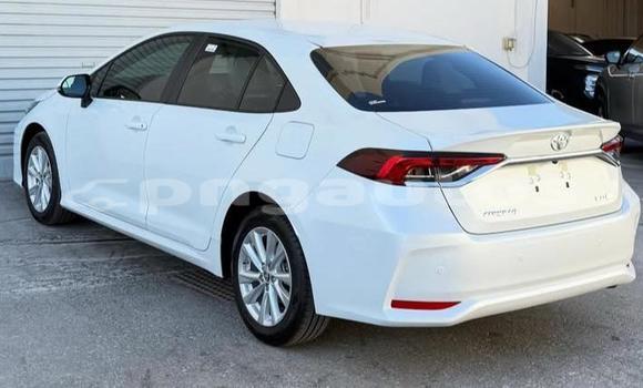 Buy Used Toyota Corolla White Car in Port Moresby in National Capital District Buy Used Toyota Corolla White Car in Port Moresby in National Capital District