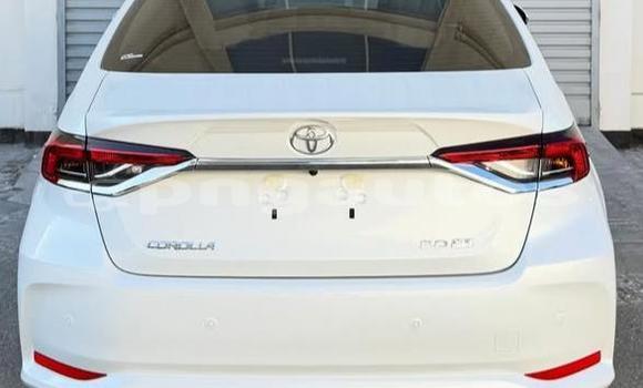 Buy Used Toyota Corolla White Car in Port Moresby in National Capital District Buy Used Toyota Corolla White Car in Port Moresby in National Capital District