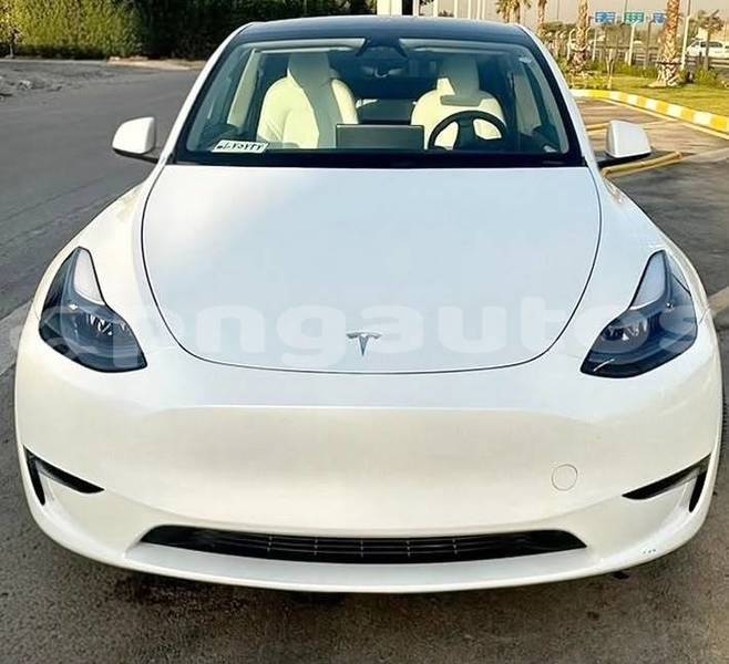 Big with watermark tesla model x national capital district port moresby 8195