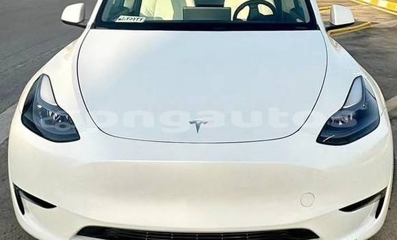 Buy Used Tesla Model X White Car in Port Moresby in National Capital District