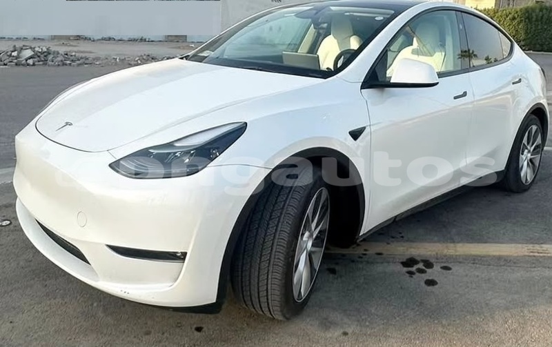 Big with watermark tesla model x national capital district port moresby 8195