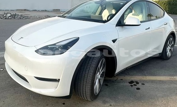 Buy Used Tesla Model X White Car in Port Moresby in National Capital District Buy Used Tesla Model X White Car in Port Moresby in National Capital District