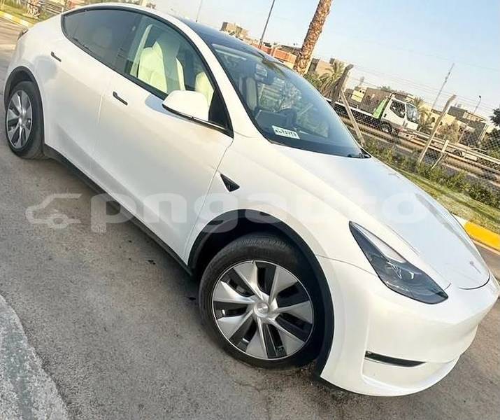 Big with watermark tesla model x national capital district port moresby 8195