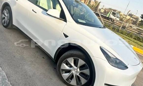 Buy Used Tesla Model X White Car in Port Moresby in National Capital District Buy Used Tesla Model X White Car in Port Moresby in National Capital District