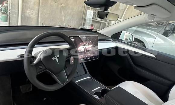 Buy Used Tesla Model X White Car in Port Moresby in National Capital District Buy Used Tesla Model X White Car in Port Moresby in National Capital District