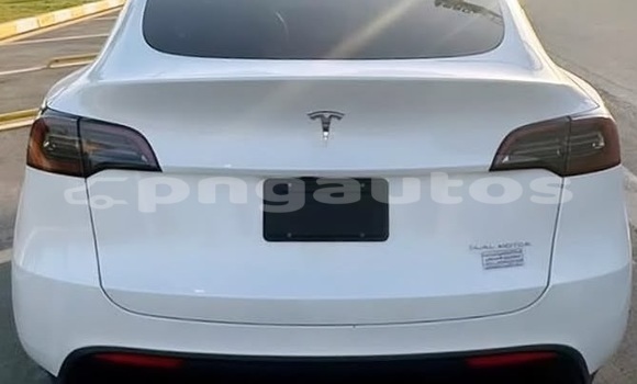 Buy Used Tesla Model X White Car in Port Moresby in National Capital District Buy Used Tesla Model X White Car in Port Moresby in National Capital District