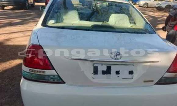 Buy Used Toyota Mark X Other Car in Ambunti in East Sepik Buy Used Toyota Mark X Other Car in Ambunti in East Sepik