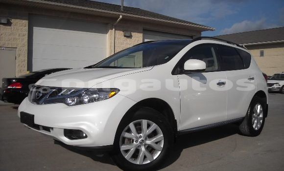 Buy Used Nissan Murano Other Car in Laiagam in Enga