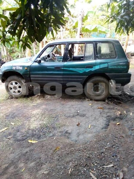 Big with watermark 52688657 1246707225478041 8403146902383624192 n