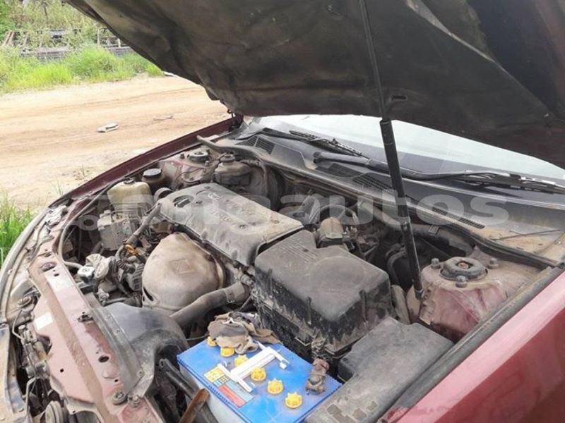 Big with watermark 52920450 354701945376091 2934207182863859712 o