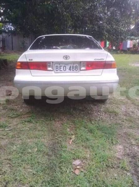 Big with watermark 53573914 1041701762685555 4559883503042297856 n