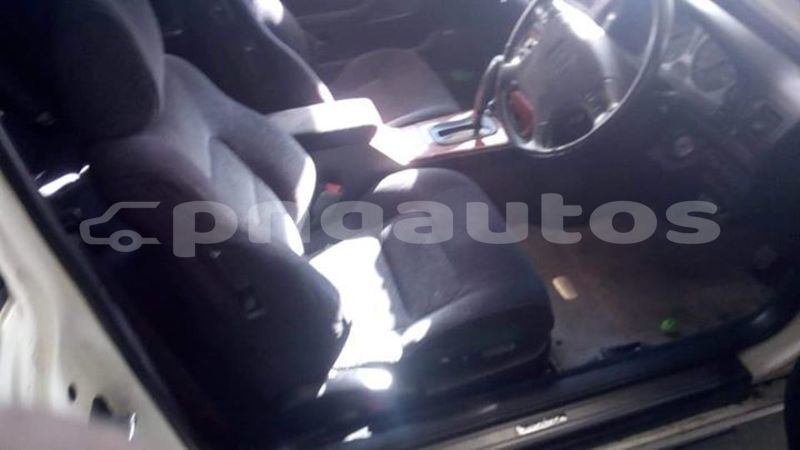 Big with watermark 53684118 124463861975505 2489510735802007552 n