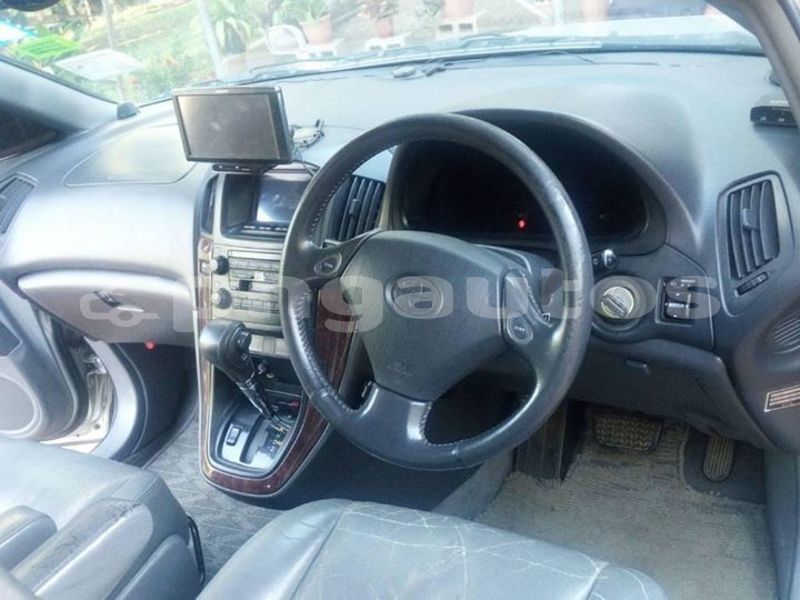 Big with watermark 53253956 2249858588630685 6771254476037685248 o