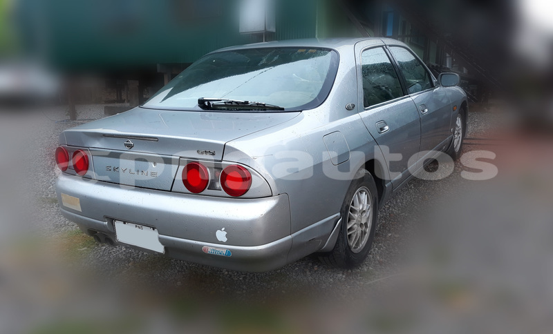 Big with watermark back view