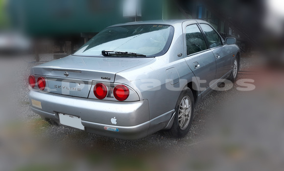 Medium with watermark back view