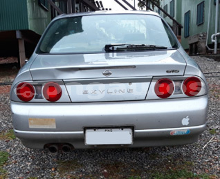 Big with watermark backlight