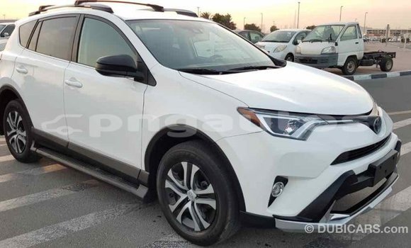 Buy Import Toyota RAV4 White Car in Import - Dubai in Enga Buy Import Toyota RAV4 White Car in Import - Dubai in Enga