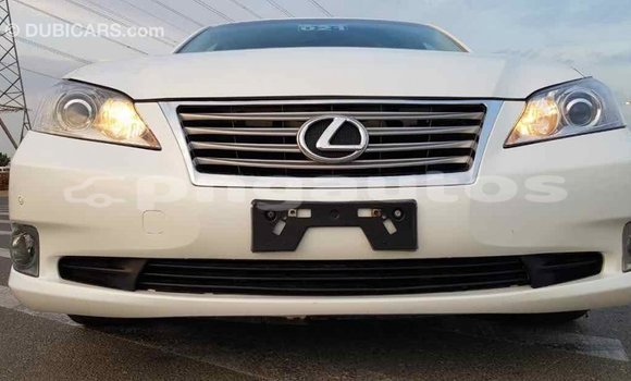 Buy Import Lexus 350 White Car in Import - Dubai in Enga Buy Import Lexus 350 White Car in Import - Dubai in Enga