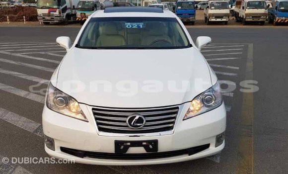 Buy Import Lexus 350 White Car in Import - Dubai in Enga Buy Import Lexus 350 White Car in Import - Dubai in Enga