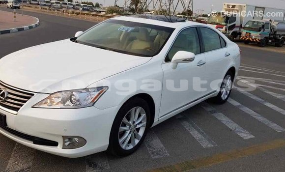Buy Import Lexus 350 White Car in Import - Dubai in Enga Buy Import Lexus 350 White Car in Import - Dubai in Enga
