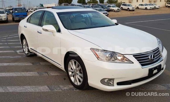 Buy Import Lexus 350 White Car in Import - Dubai in Enga Buy Import Lexus 350 White Car in Import - Dubai in Enga