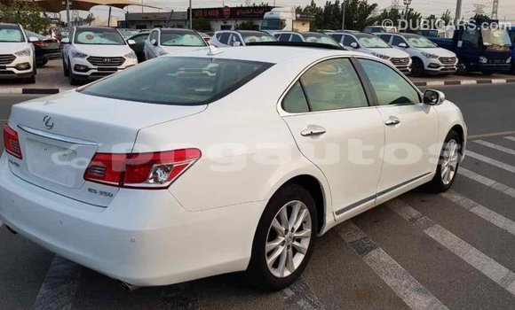 Buy Import Lexus 350 White Car in Import - Dubai in Enga Buy Import Lexus 350 White Car in Import - Dubai in Enga