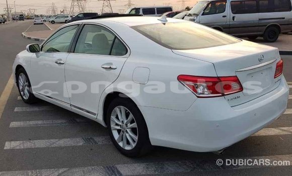 Buy Import Lexus 350 White Car in Import - Dubai in Enga Buy Import Lexus 350 White Car in Import - Dubai in Enga