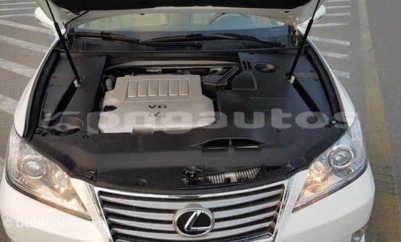 Buy Import Lexus 350 White Car in Import - Dubai in Enga Buy Import Lexus 350 White Car in Import - Dubai in Enga