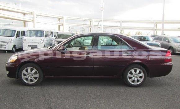 Buy Used Toyota MarkII Other Car in Lorengau in Manus Buy Used Toyota MarkII Other Car in Lorengau in Manus