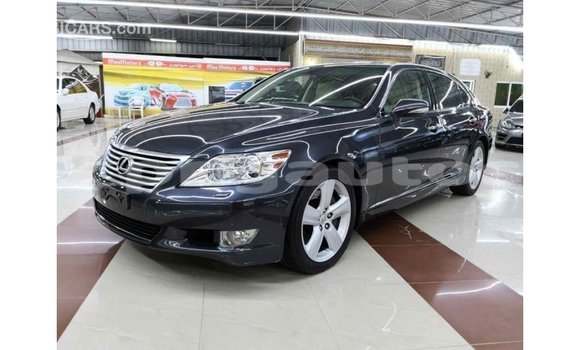Buy Import Lexus LS Other Car in Import - Dubai in Enga Buy Import Lexus LS Other Car in Import - Dubai in Enga