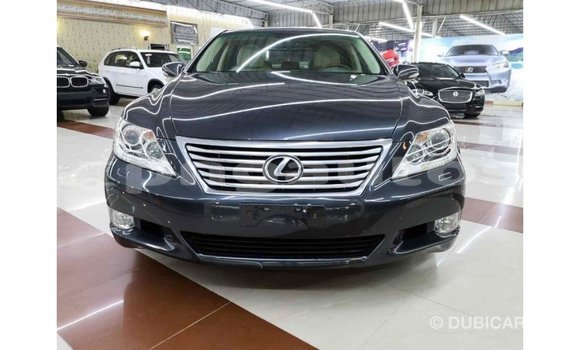 Buy Import Lexus LS Other Car in Import - Dubai in Enga Buy Import Lexus LS Other Car in Import - Dubai in Enga