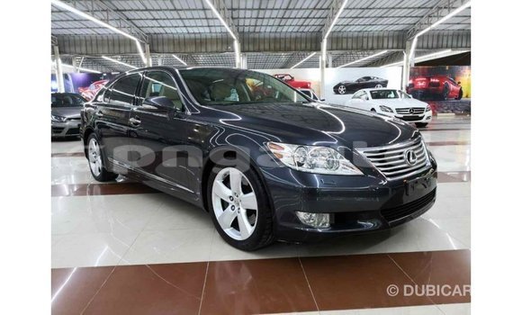 Buy Import Lexus LS Other Car in Import - Dubai in Enga Buy Import Lexus LS Other Car in Import - Dubai in Enga