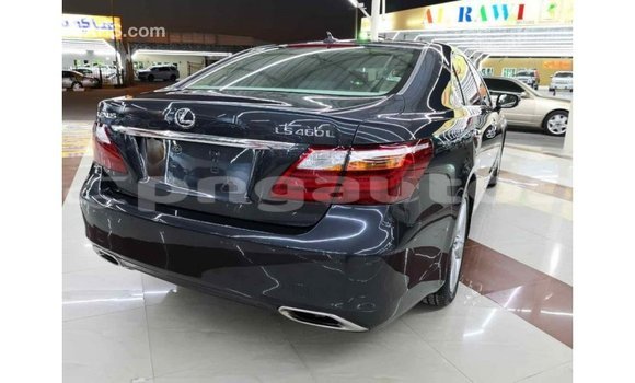 Buy Import Lexus LS Other Car in Import - Dubai in Enga Buy Import Lexus LS Other Car in Import - Dubai in Enga