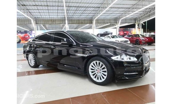 Buy Import Jaguar XJ Black Car in Import - Dubai in Enga Buy Import Jaguar XJ Black Car in Import - Dubai in Enga