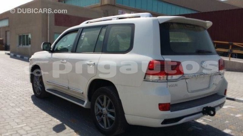 Big with watermark b8322e65 2693 479e bb7e edffef8d0dd7