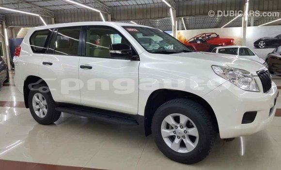 Buy Import Toyota Prado White Car in Import - Dubai in Enga Buy Import Toyota Prado White Car in Import - Dubai in Enga
