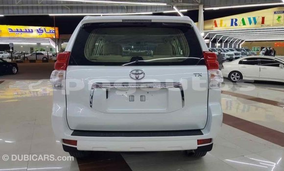 Buy Import Toyota Prado White Car in Import - Dubai in Enga Buy Import Toyota Prado White Car in Import - Dubai in Enga