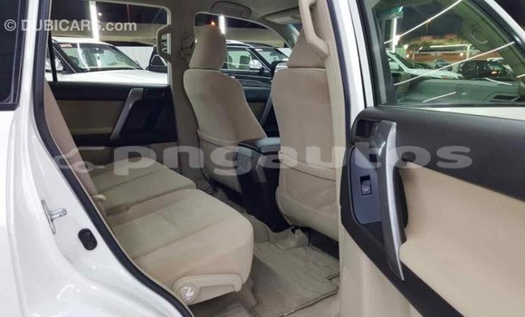 Buy Import Toyota Prado White Car in Import - Dubai in Enga Buy Import Toyota Prado White Car in Import - Dubai in Enga