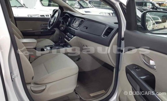 Buy Import Kia Carnival Other Car in Import - Dubai in Enga Buy Import Kia Carnival Other Car in Import - Dubai in Enga