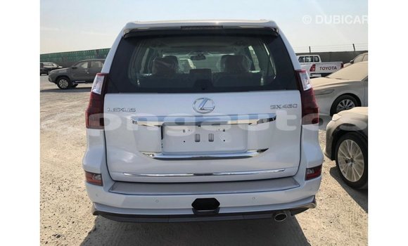 Buy Import Lexus GX White Car in Import - Dubai in Enga Buy Import Lexus GX White Car in Import - Dubai in Enga