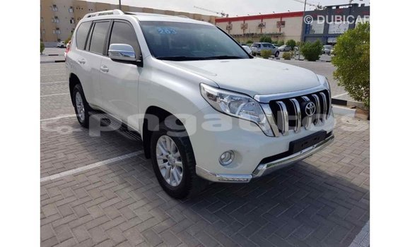 Buy Import Toyota Prado White Car in Import - Dubai in Enga Buy Import Toyota Prado White Car in Import - Dubai in Enga