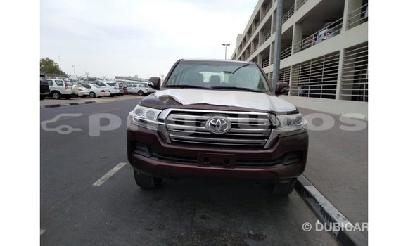 Buy Import Toyota Land Cruiser Brown Car in Import - Dubai in Enga Buy Import Toyota Land Cruiser Brown Car in Import - Dubai in Enga