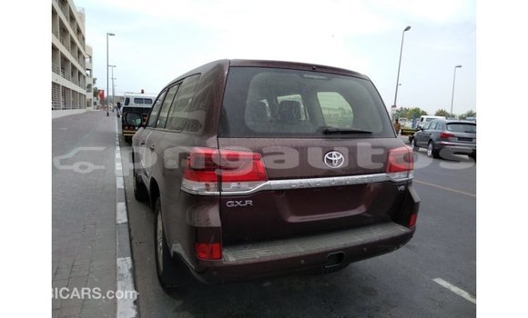 Buy Import Toyota Land Cruiser Brown Car in Import - Dubai in Enga Buy Import Toyota Land Cruiser Brown Car in Import - Dubai in Enga