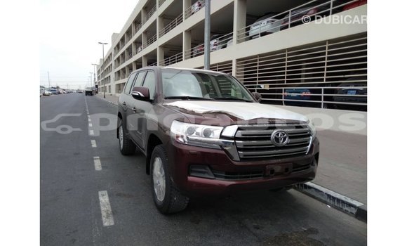 Buy Import Toyota Land Cruiser Brown Car in Import - Dubai in Enga Buy Import Toyota Land Cruiser Brown Car in Import - Dubai in Enga